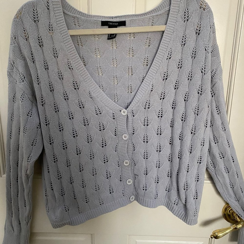 Blue Sweater